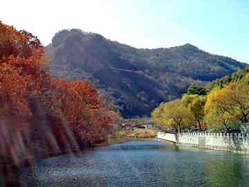 末班车后在胶囊旅馆懂得都懂无光